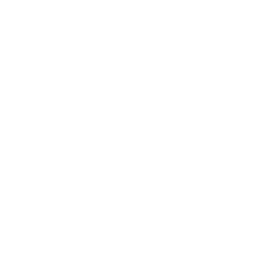 follower_icon