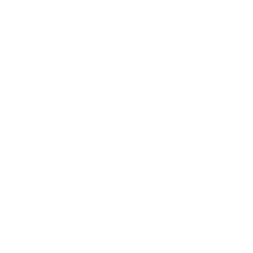 age_demographics_icon